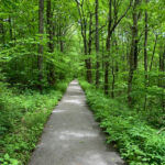 Changing My Path