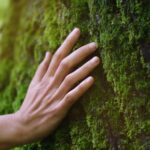 Self-care for Happier Hands